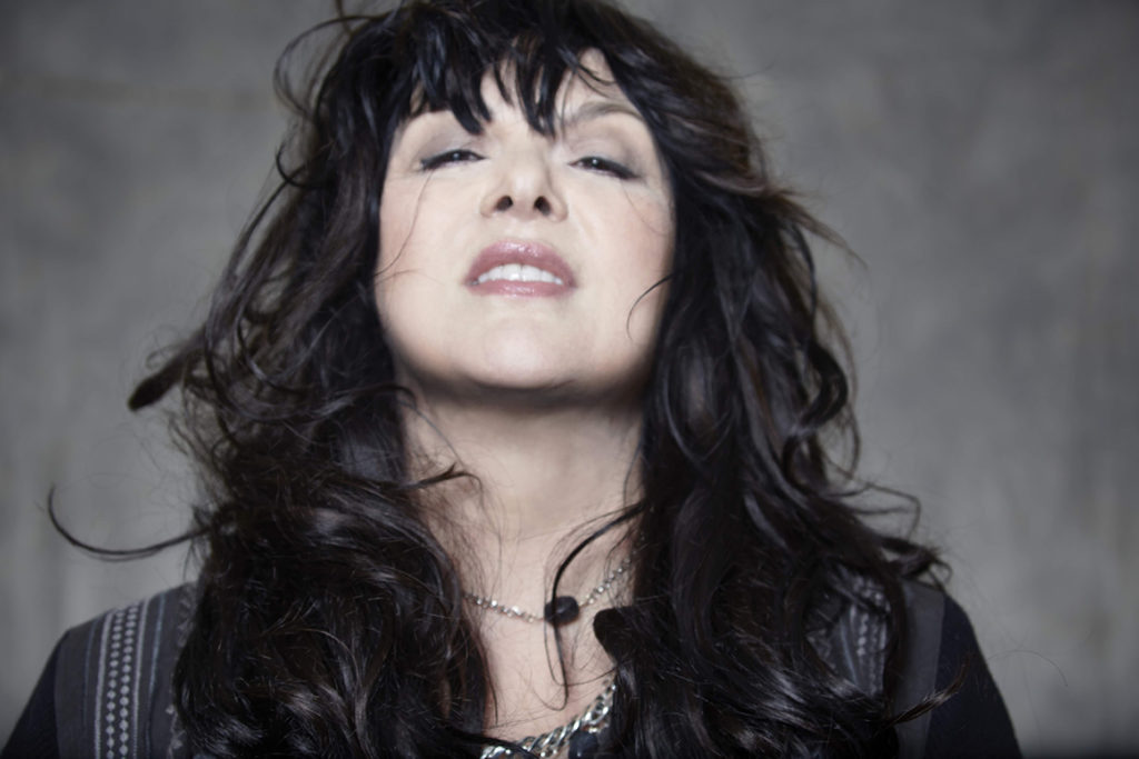 Ann Wilson of HEART* Davis Arts Council
