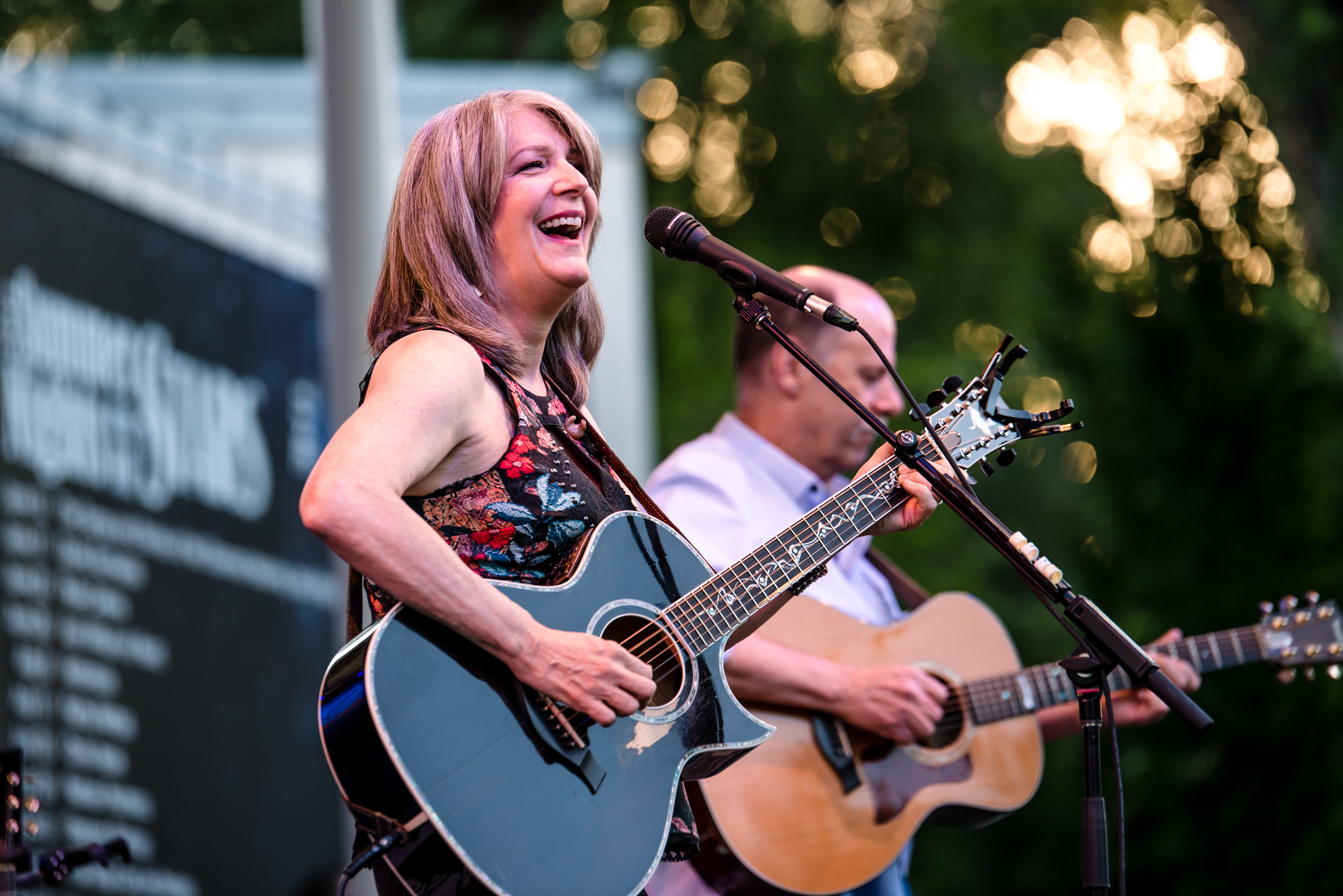 Kathy Mattea Davis Arts Council.